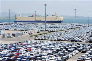 大连深耕自贸区 新产业新业态加速集聚