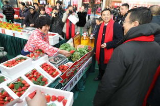 2019大连草莓文化旅游节暨农业产品博览会开幕