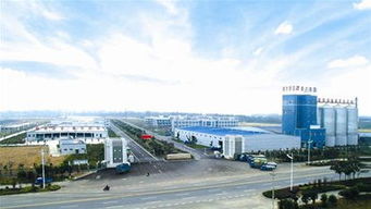 乘风破浪铸辉煌