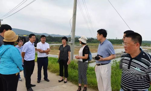 大连市水产专家调研合浦大蚝 渔业产业发展情况