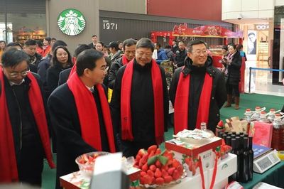 【重点关注】2019大连草莓文化旅游节暨农业产品博览会隆重启幕