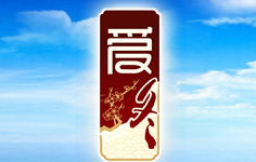 爱冬 爱冬招商代理 爱冬详细介绍