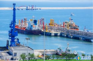 恒力股份着力推进炼化一体化项目建设 谋求多方共赢