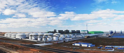 大连将建成5000亿级石化产业集群