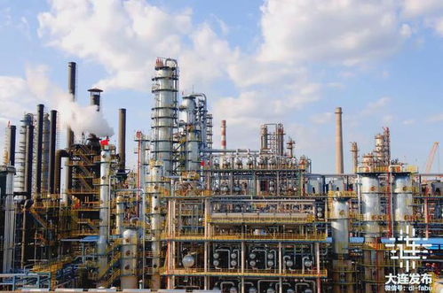 我家住在金普新区