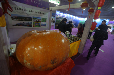 文旅博览会搭桥 看景合作两不误