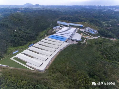 茂名也有牧场 有,这两个还入选了广东首批十大美丽牧场