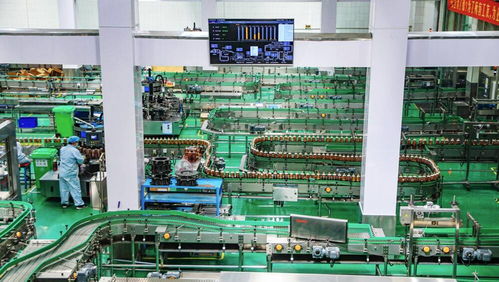 百年胶济释放发展新动能 淄博与大连产业的澎湃动力