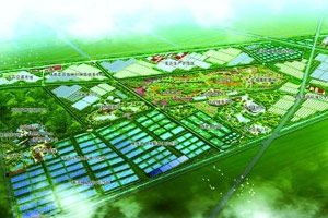 农产品品牌与大连产业排行分析