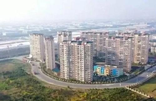 大连新春抢开局 新特产业加速跑