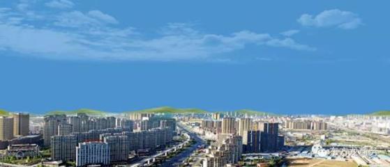 助力大连普兰店区委托招商引资，加速构建现代产业新体系